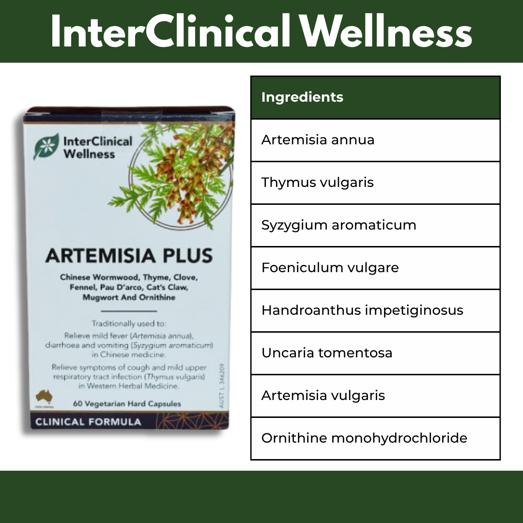 InterClinical Wellness Artemisia Plus supplement packaging with ingredient list on a green background