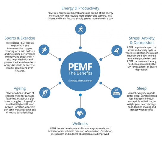 A circular infographic titled 'PEMF The Benefits' with six benefit sections around a central blue PEMF badge: Energy & Productivity, Sports & Exercise, Stress, Anxiety & Depression, Aging, Sleep, and Wellness. Small icons and short text describe each benefit.