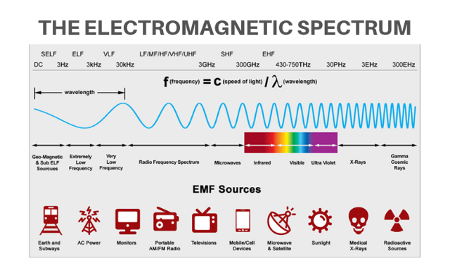 An educational infographic titled 'THE ELECTROMAGNETIC SPECTRUM' showing a blue waveform across labelled frequency bands.